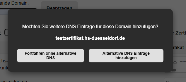 Alternative DNS Abfrage.png
