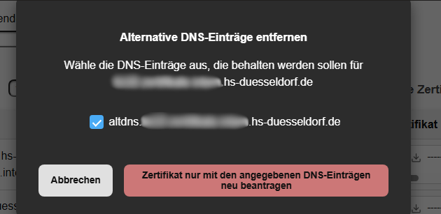 Alternative DNS entfernen.png