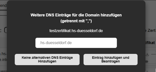 Weitere DNS hinzufuegen.png